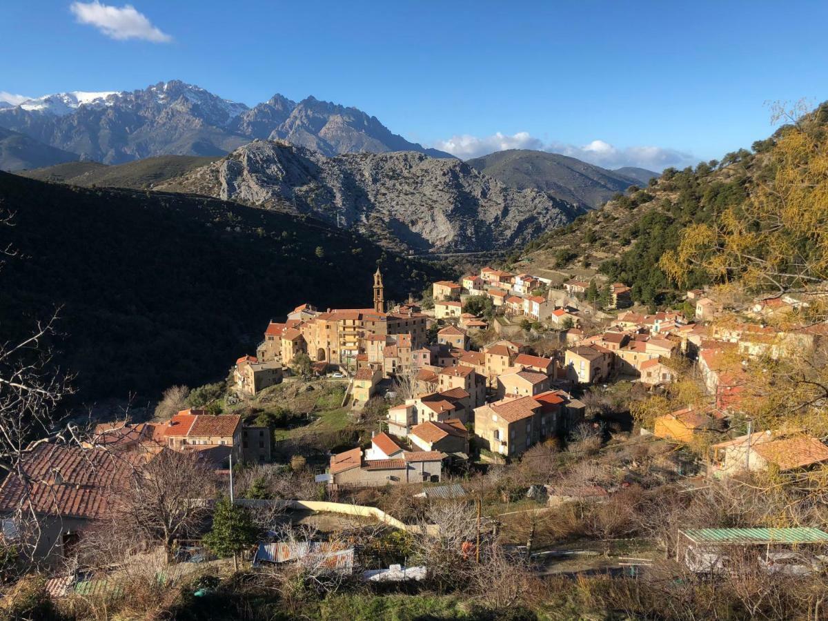 Charmant F2 Dans Joli Village Corse Omessa المظهر الخارجي الصورة