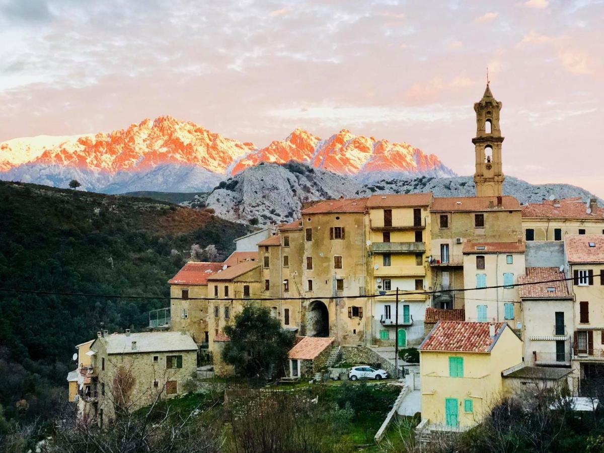 Charmant F2 Dans Joli Village Corse Omessa المظهر الخارجي الصورة