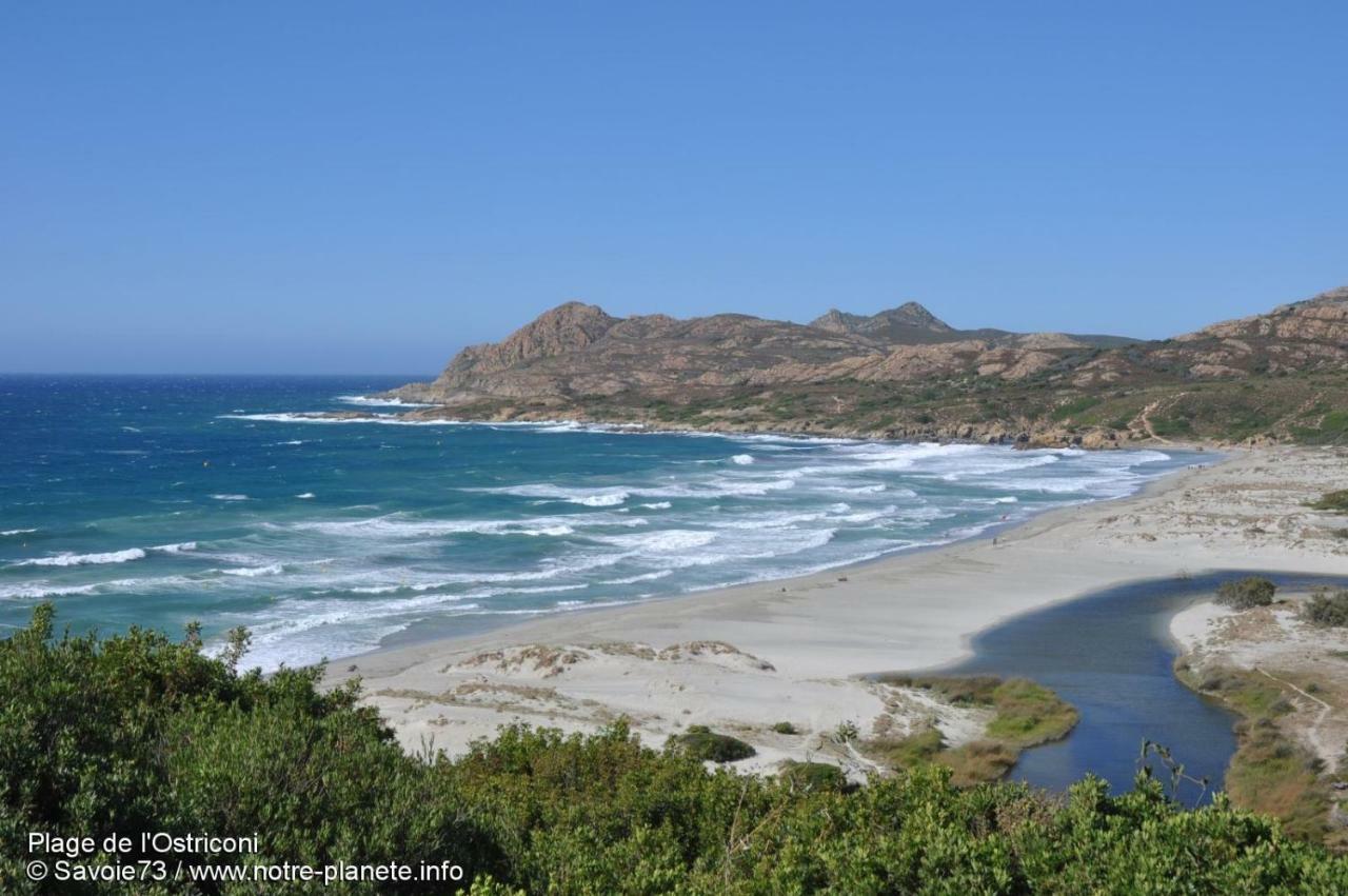 Charmant F2 Dans Joli Village Corse Omessa المظهر الخارجي الصورة